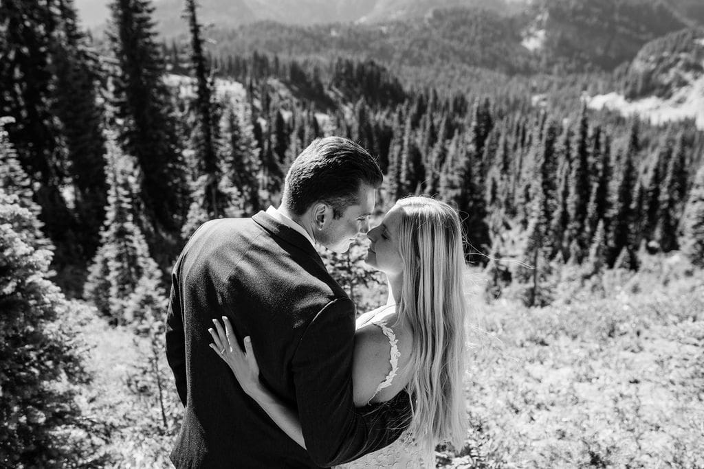 Washington State Mount Rainier Wedding Photography Destination Wedding Photographers, Wilmington NC Wedding Photographers and Filmmakers